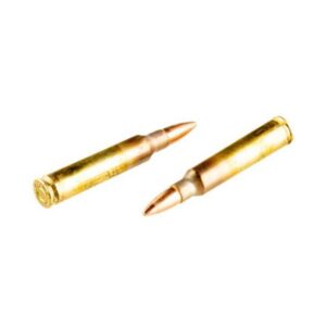 Lake City by Winchester .223/5.56 NATO M193 Ammunition 20 Rounds FMJ 55 Grains W193