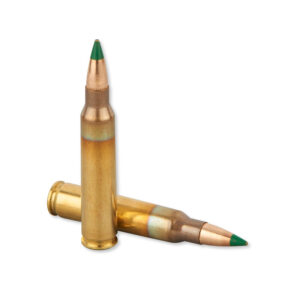 Lake City by Winchester M855 .223/5.56 NATO SS109 Ammunition 20 Rounds FMJ 62 Grains Green Tip LCWM855